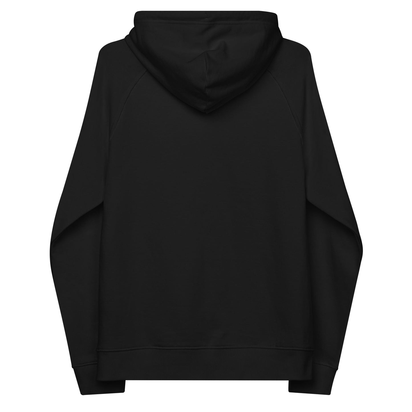 unlearn-relearn-hoodie-f0 unisex-eco-raglan-hoodie-black-back-647547b169f25.jpg