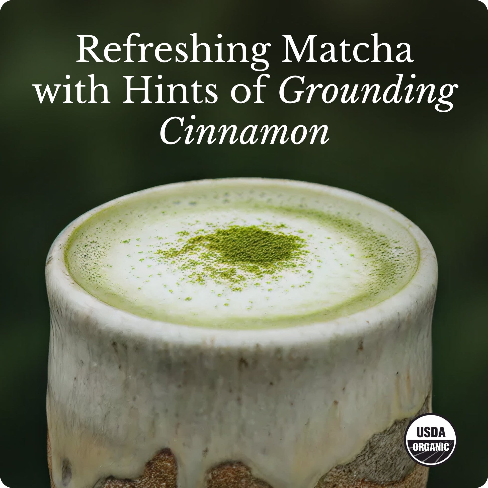 matcha-starter-kit-r2 Matcha_image_03.jpg