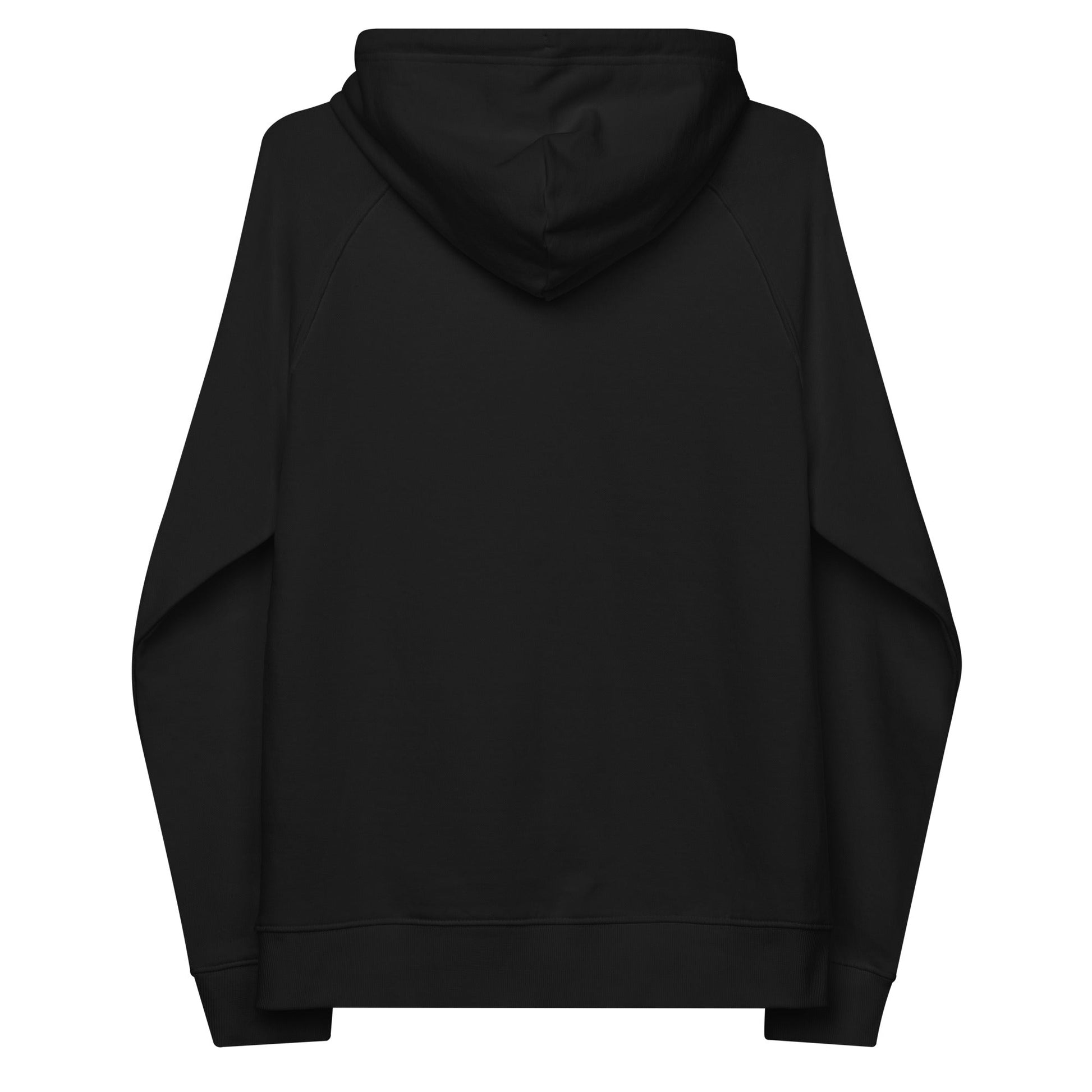 unlearn-relearn-hoodie-f0 unisex-eco-raglan-hoodie-black-back-647547b169f25.jpg
